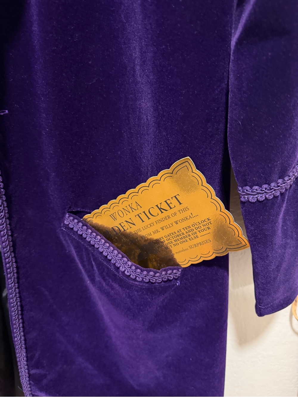 Willy Wonka Adult Costume Men's Purple Velvet Blazer Jacket - Luxe Evening Coat - Picture 5 of 16